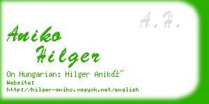 aniko hilger business card